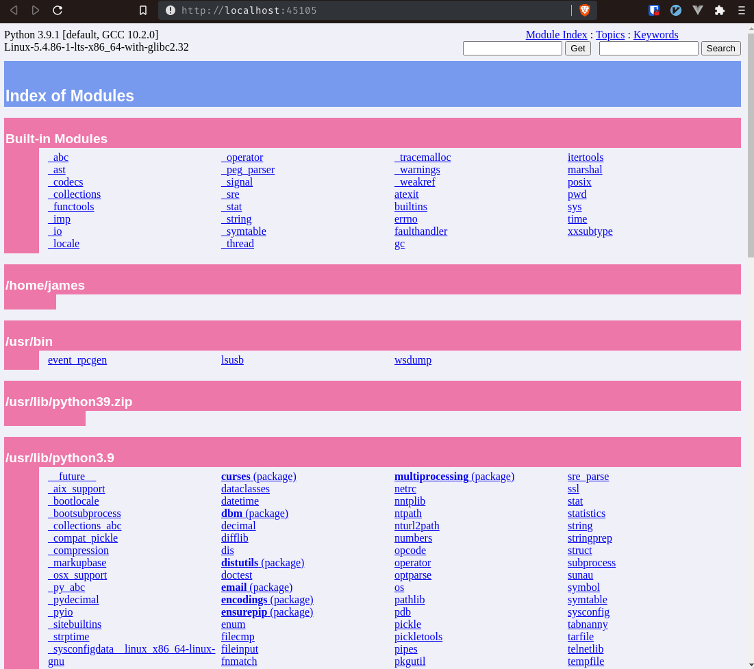 pydoc open in brave browser with no arguments